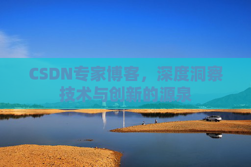 CSDN专家博客，深度洞察技术与创新的源泉